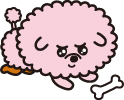 ぽめりん5の画像
